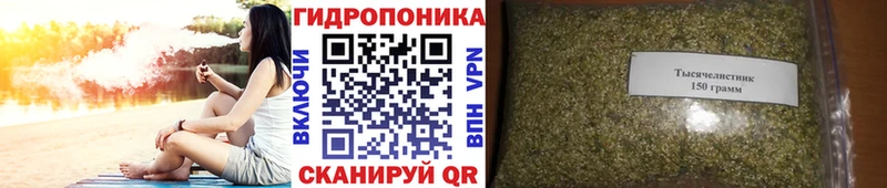 Бошки Шишки THC 21%  Купить  Барыш 